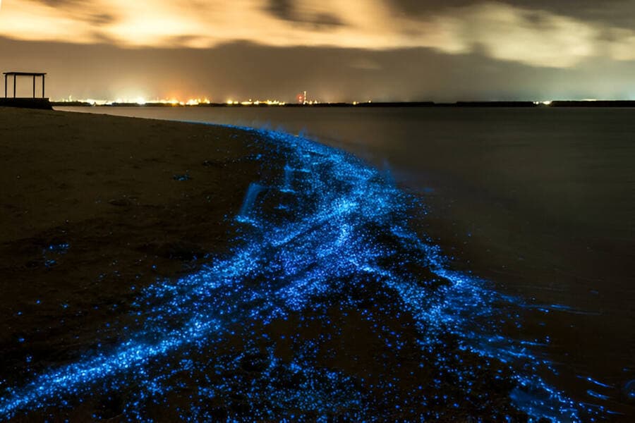 Maldives Glowing Beach