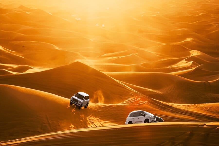 Desert Safari