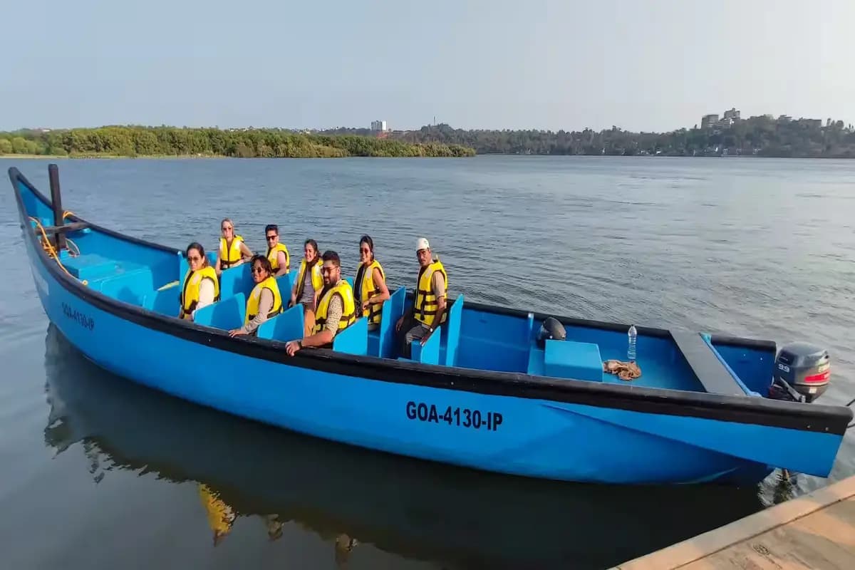 Mangrove Boat Safari