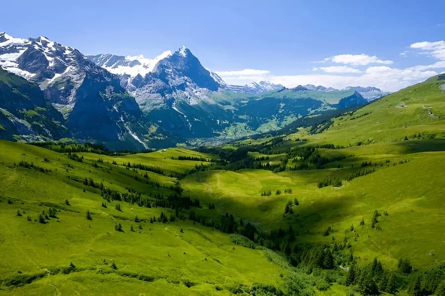 The Alps