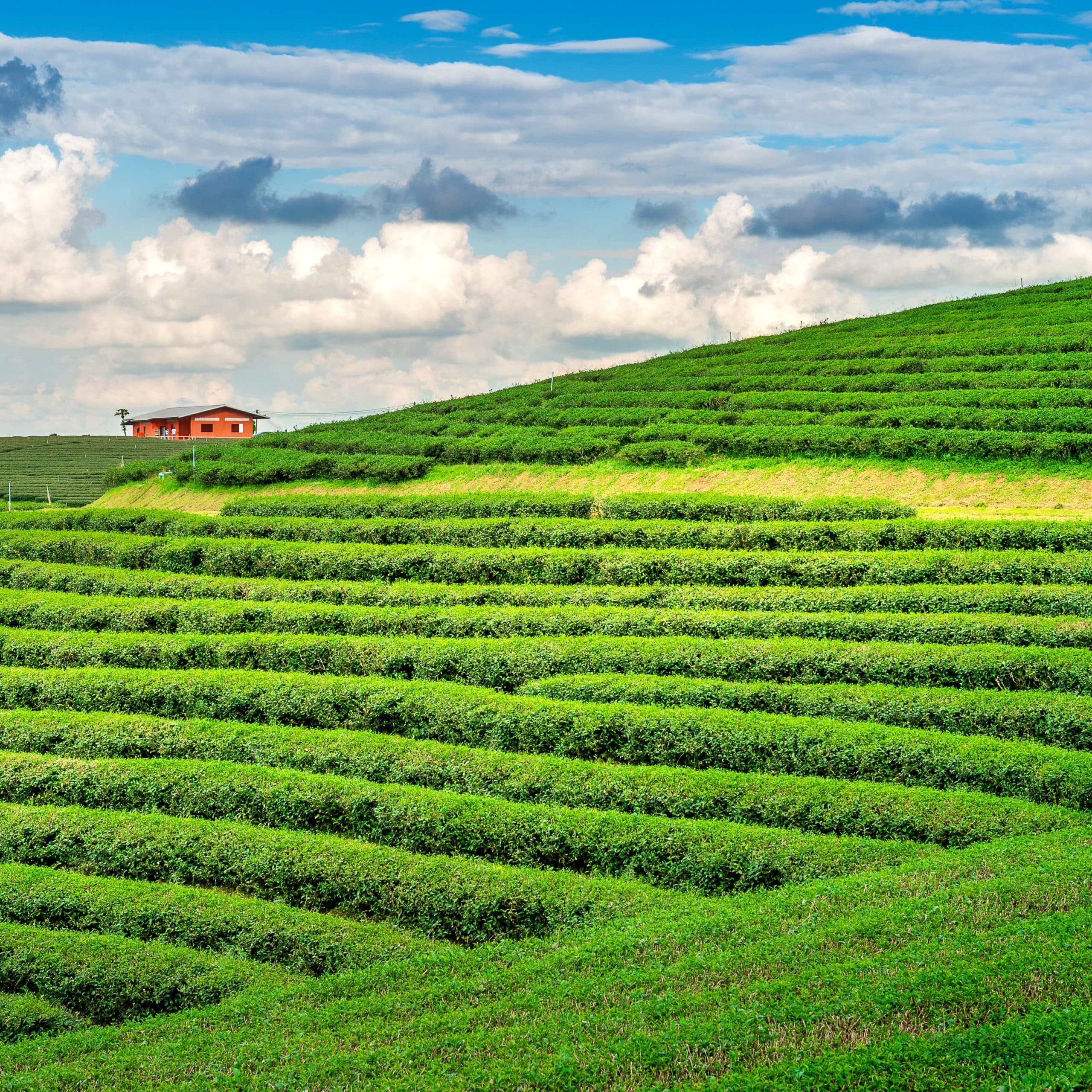 Best 5 Family Holiday Packages in India for a Fun Family Vacation