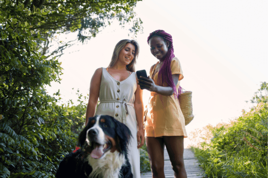 Experience the Comfort of Pet-Friendly Hotels in Yercaud