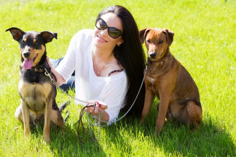 Perfect Pet-friendly Stays for Pet Owners and Their Pets in Jaipur