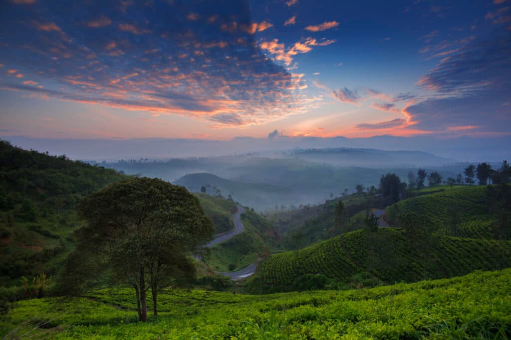 Coorg