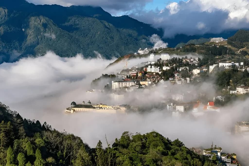 Sapa