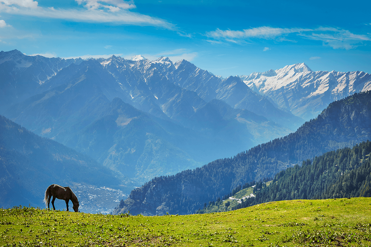 Himachal Family Tour Packages for Every Family and Group Trip