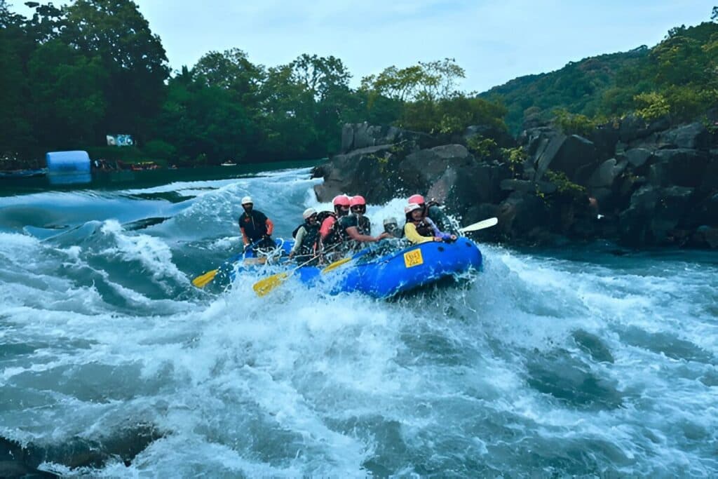 Dandeli