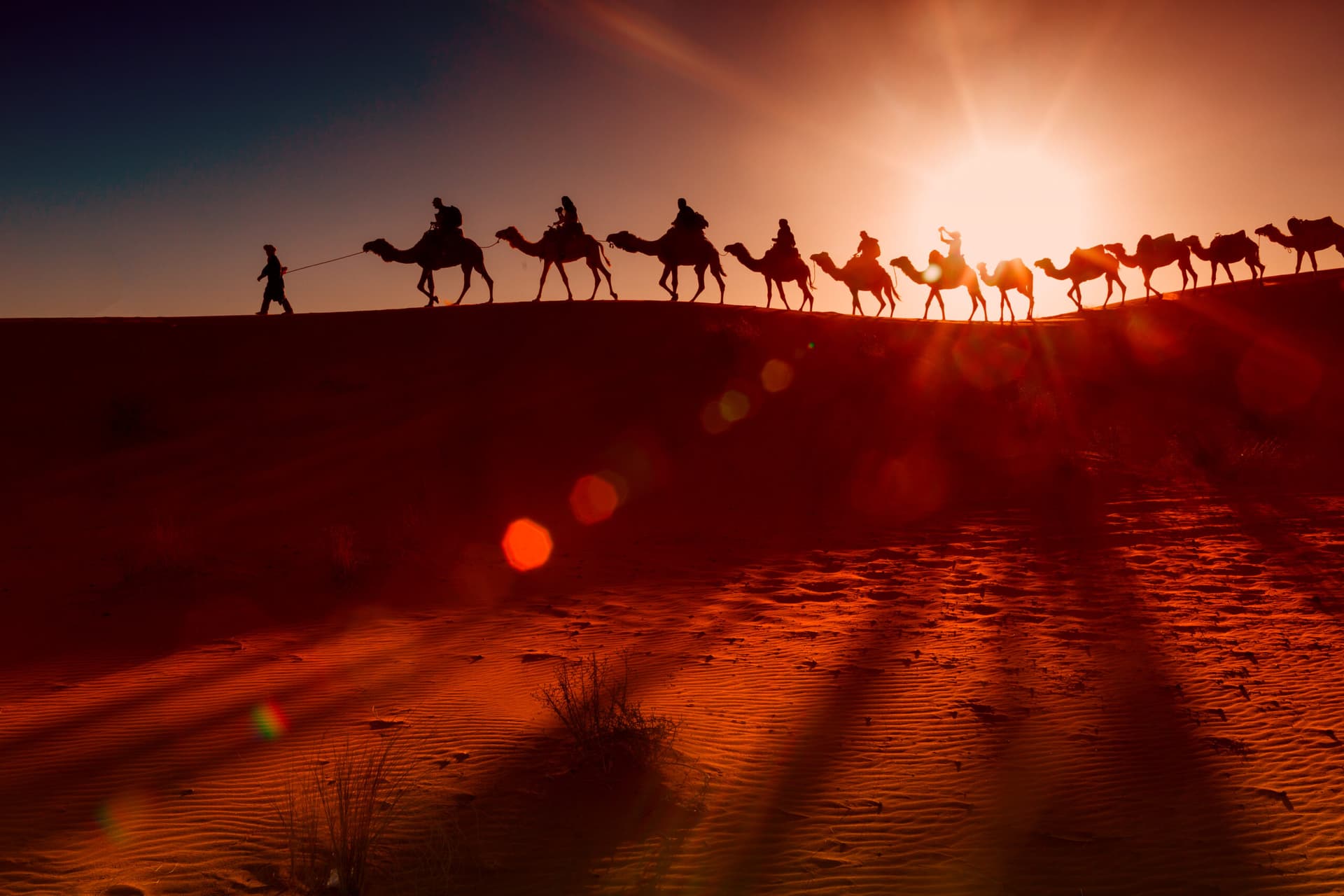 Jaisalmer Visiting Guide: The Only Guide You Need for Jaisalmer
