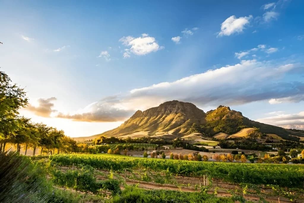 Stellenbosch