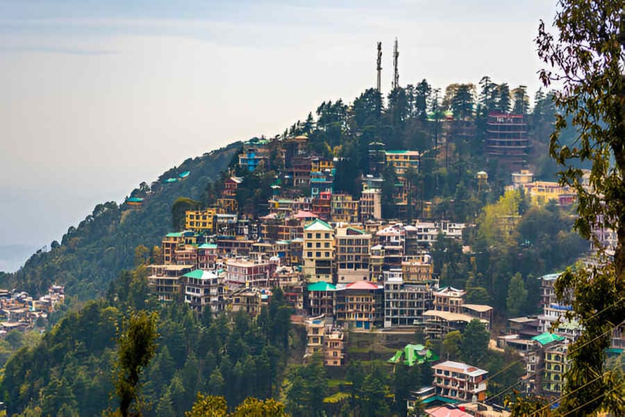 Experience Romance in the Heart of Himachal: The Ultimate Himachal Honeymoon Package