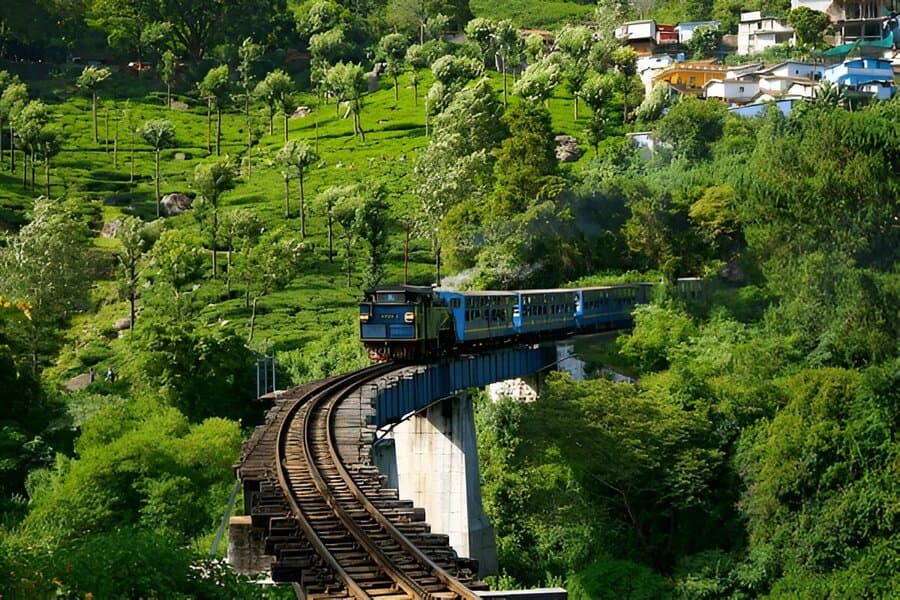 Explore the Hill Station of Ooty