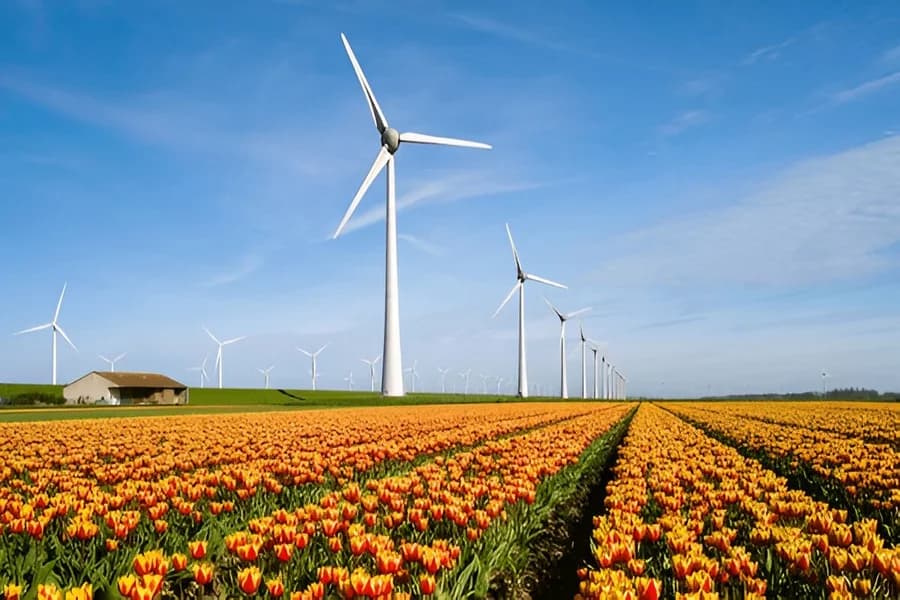 The Netherlands