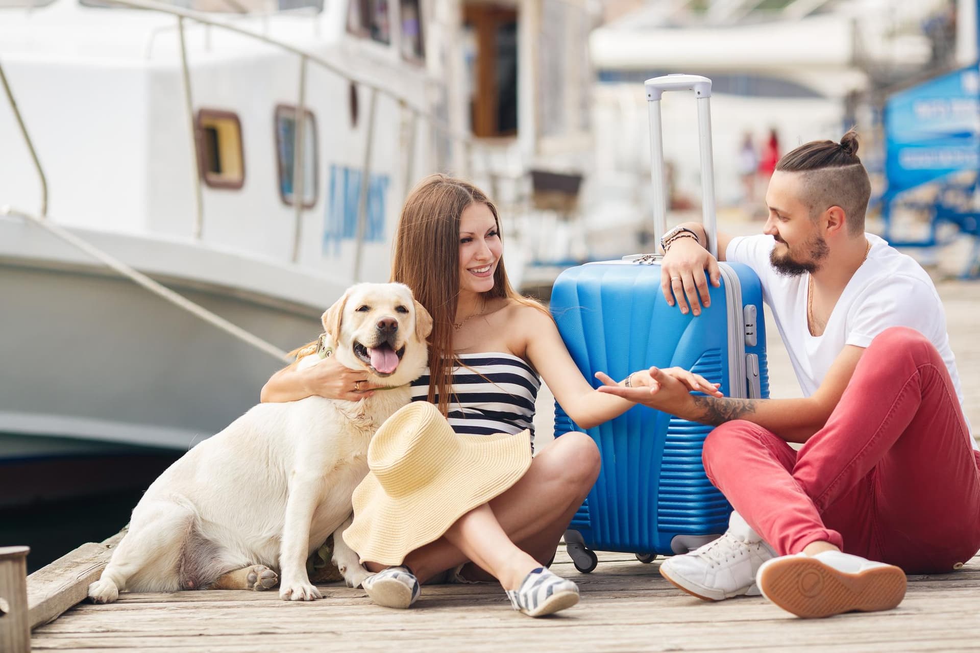 Find Out the Top Hotels in Pondicherry That Allow Pets