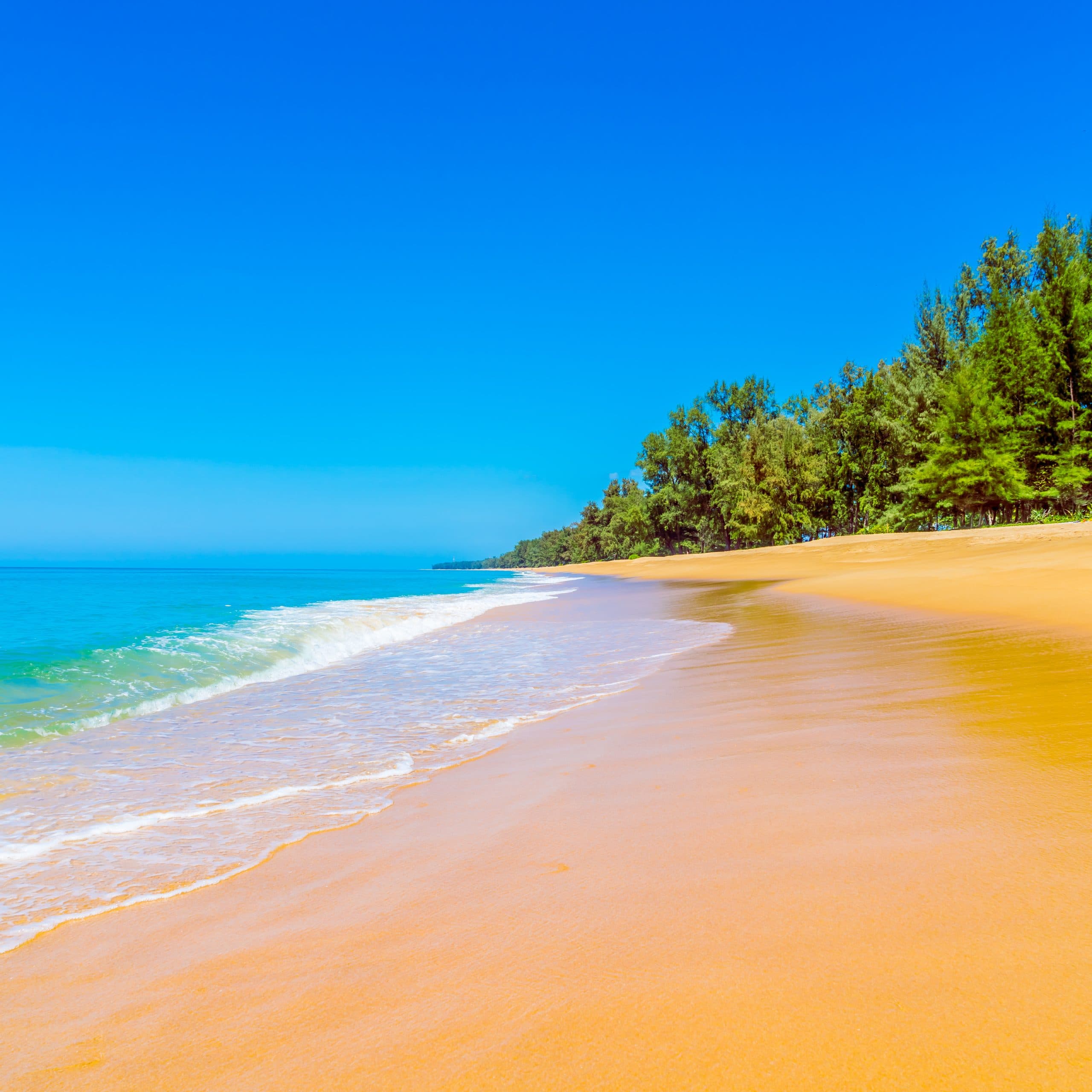 Explore Varkala:The Hidden Treasure of Kerala’s Coastline