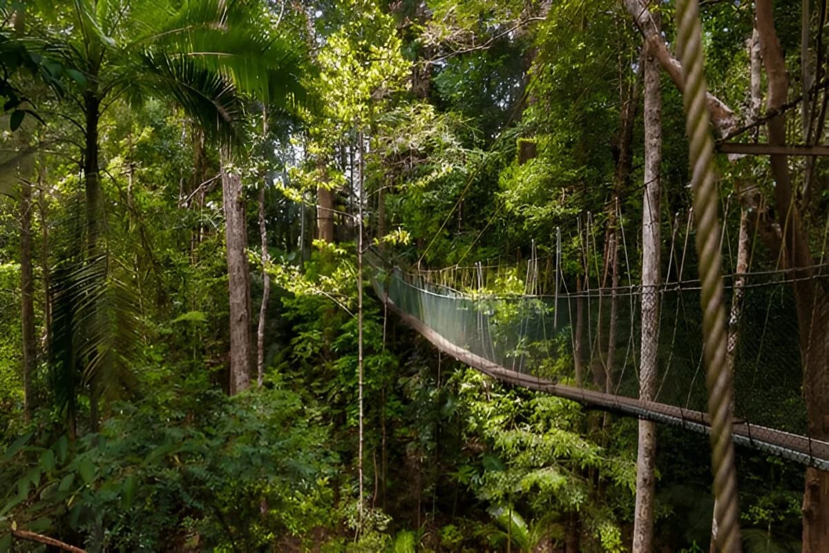 Taman Negara National Park