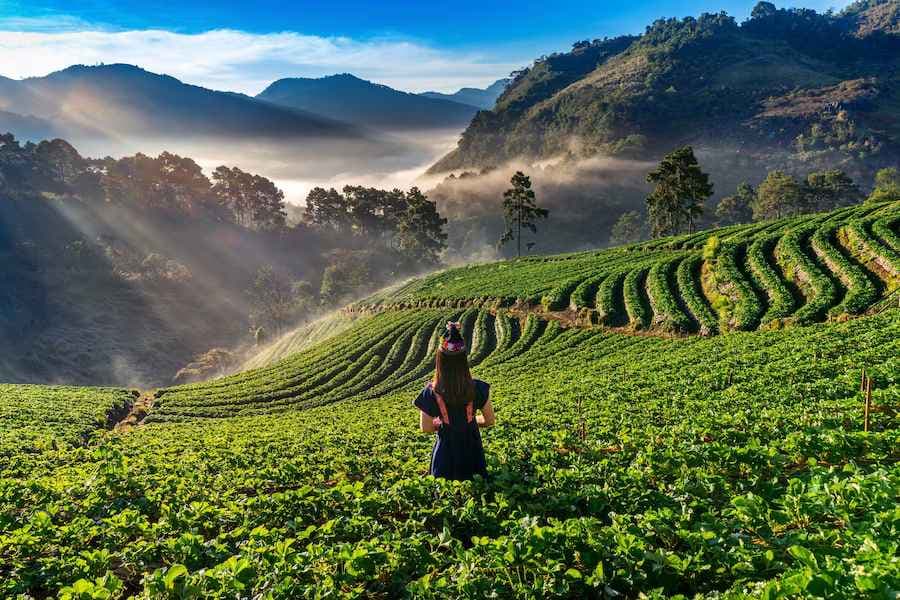 Discover the Best Family Holiday Packages in Ooty: A Perfect Getaway for Your Loved Ones