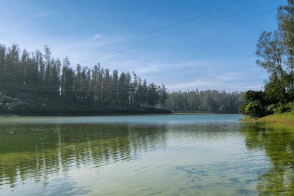 Looking for the best Ooty honeymoon Tour