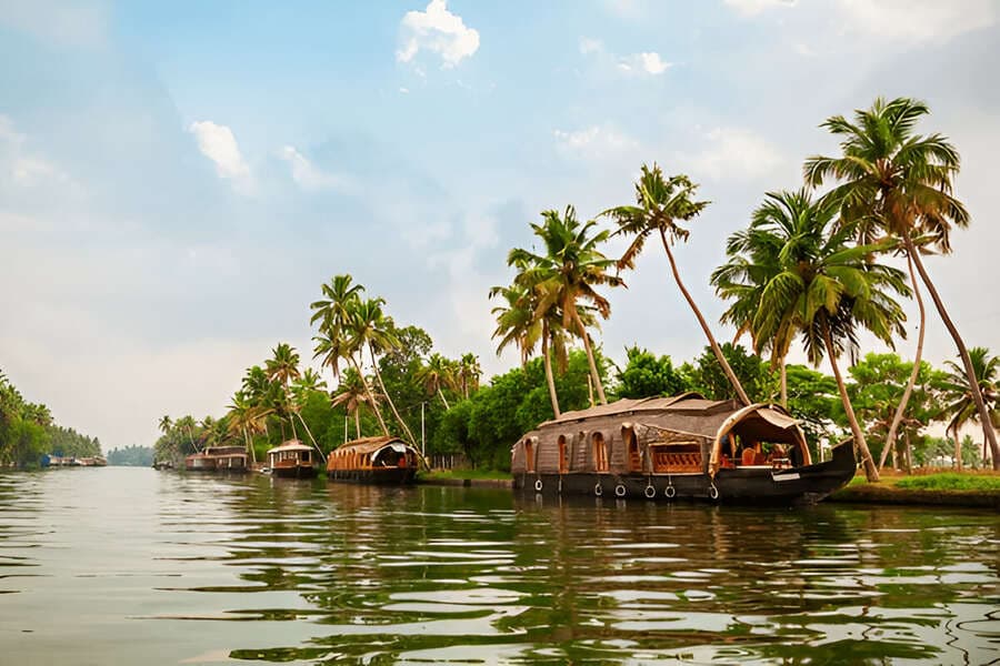 Special Experiences in Kerala in June