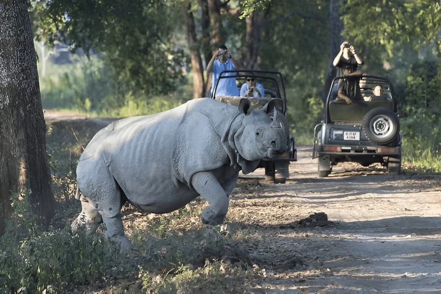 Kaziranga National Park