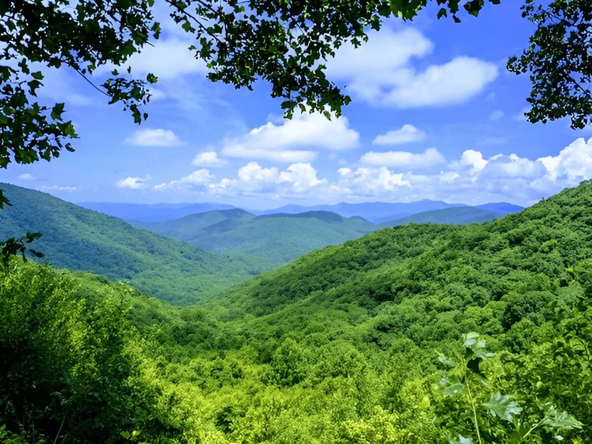 Chattahoochee Oconee National Forest