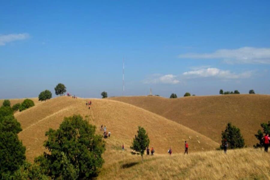 Deliblato Sands – Serbia: