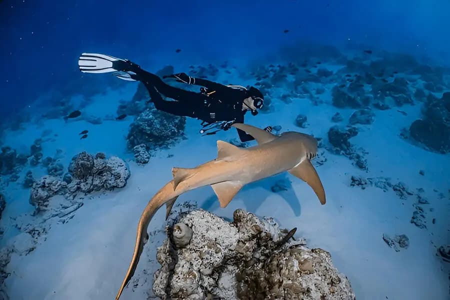 Best Things to Do in Maldives in April