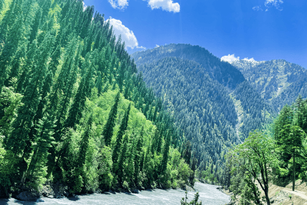 Discover the Magic of a Premium Gulmarg Honeymoon Experience