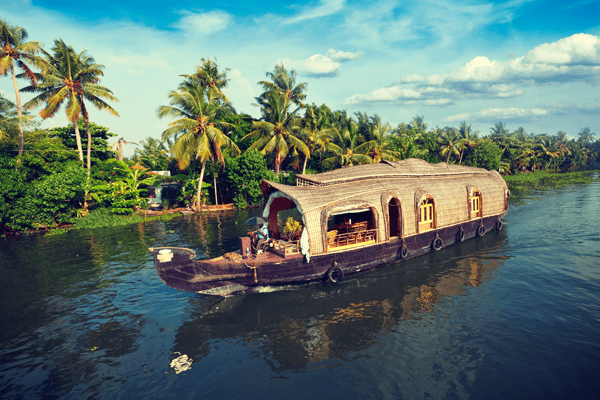 Guide to the Best Kerala Tour Packages For Families