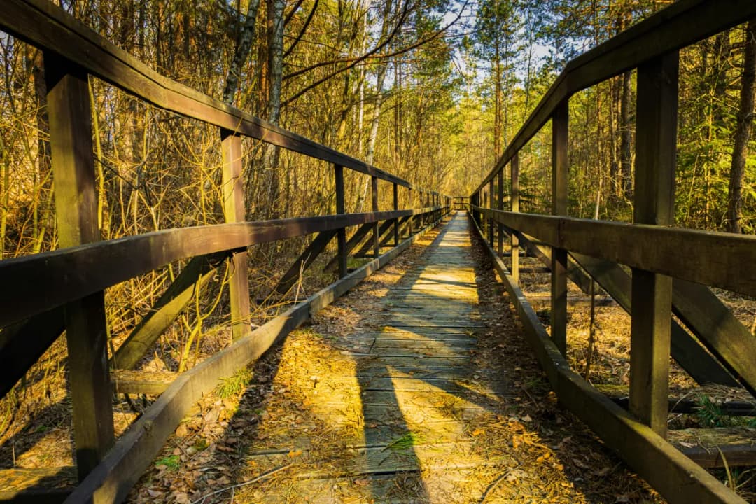 Wooden Bridges
