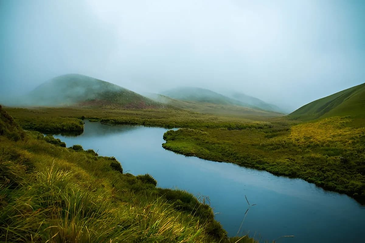 Eravikulam National Park