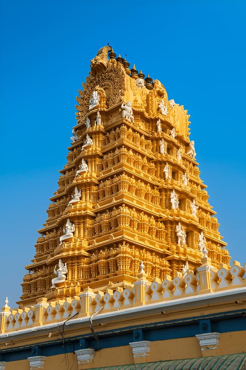 Mysore & Coorg