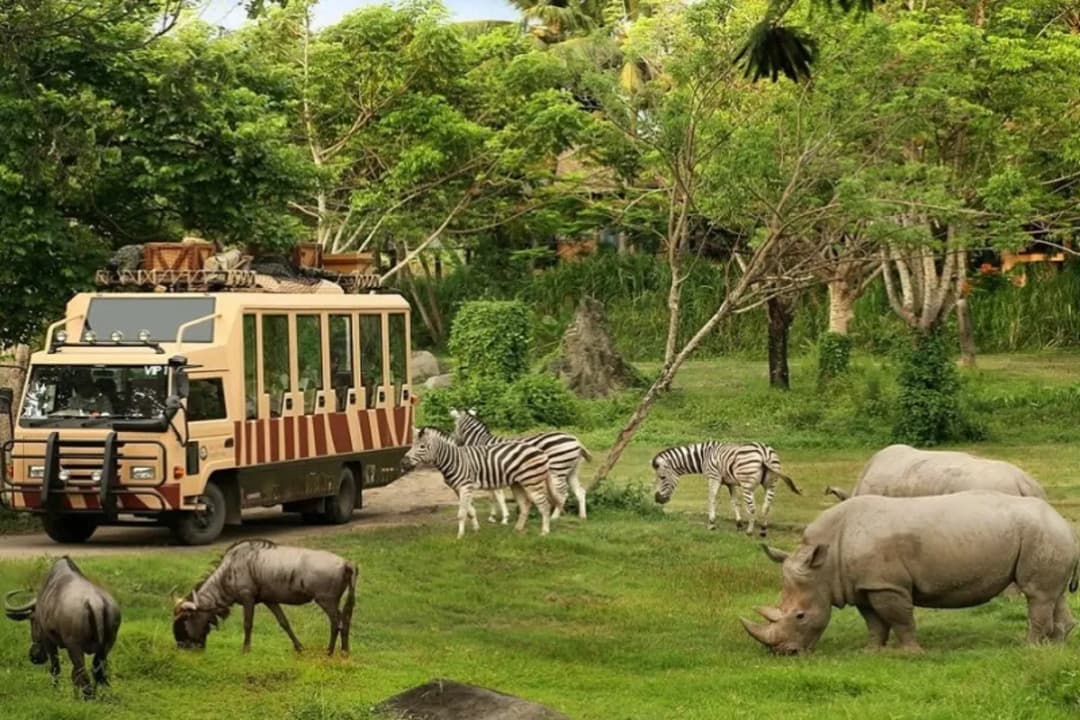 Safari Park