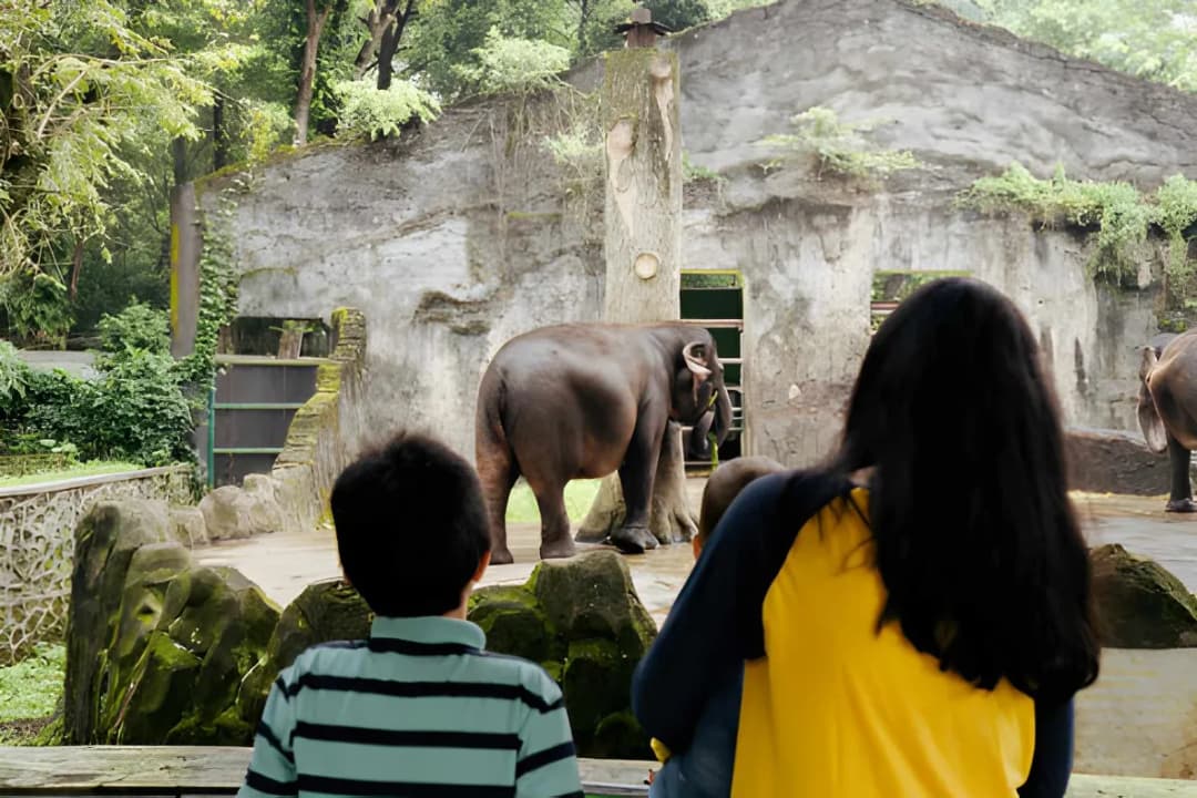 Educational Programs