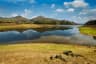 Periyar Lake