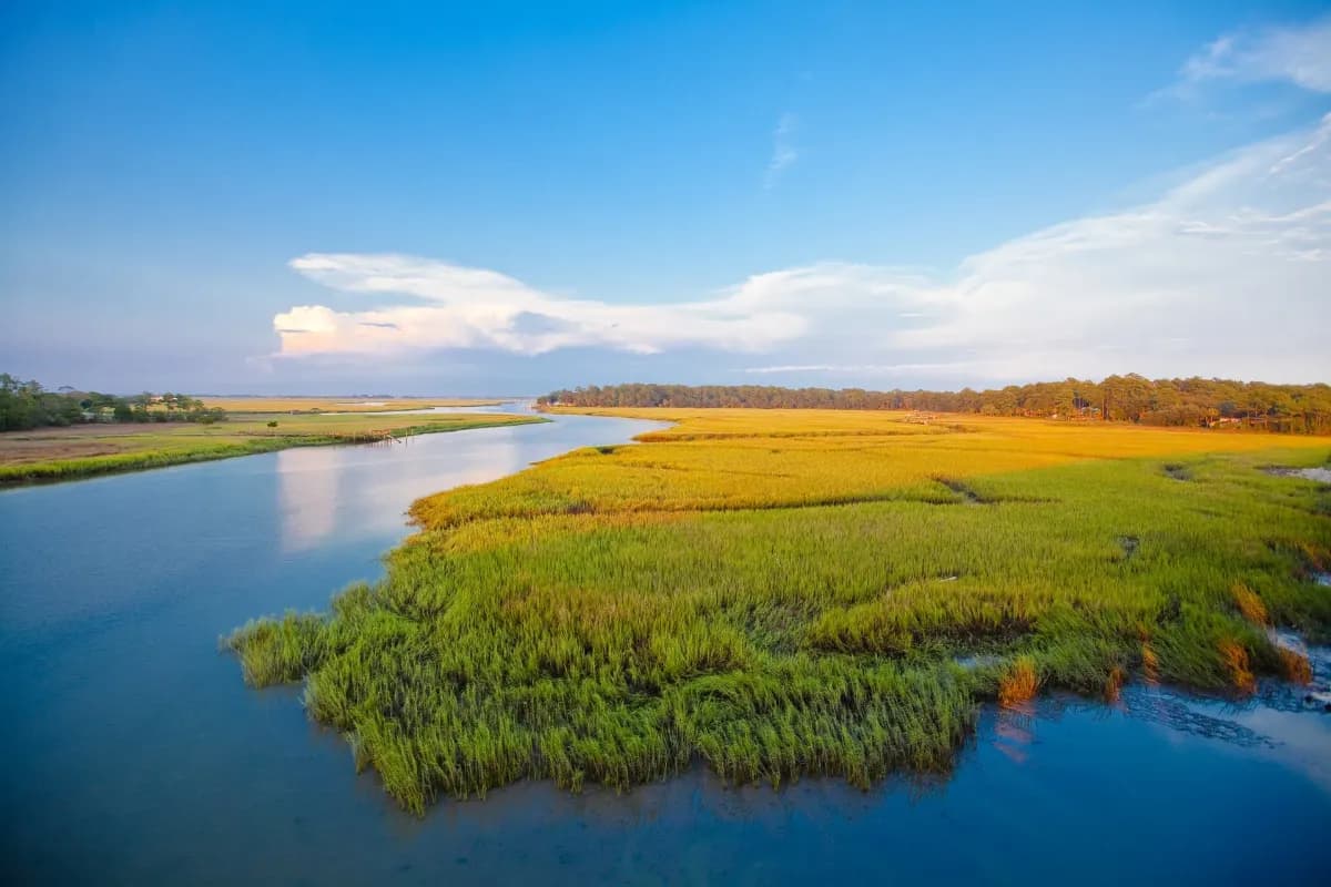Little St. Simons Island