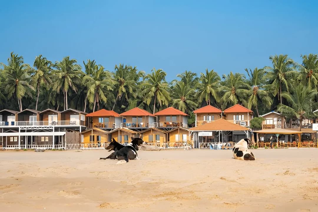 Agonda Beach