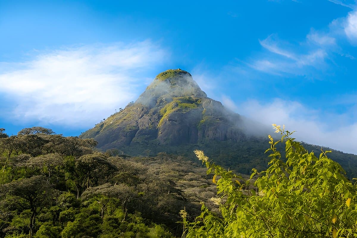 Adams Peak 