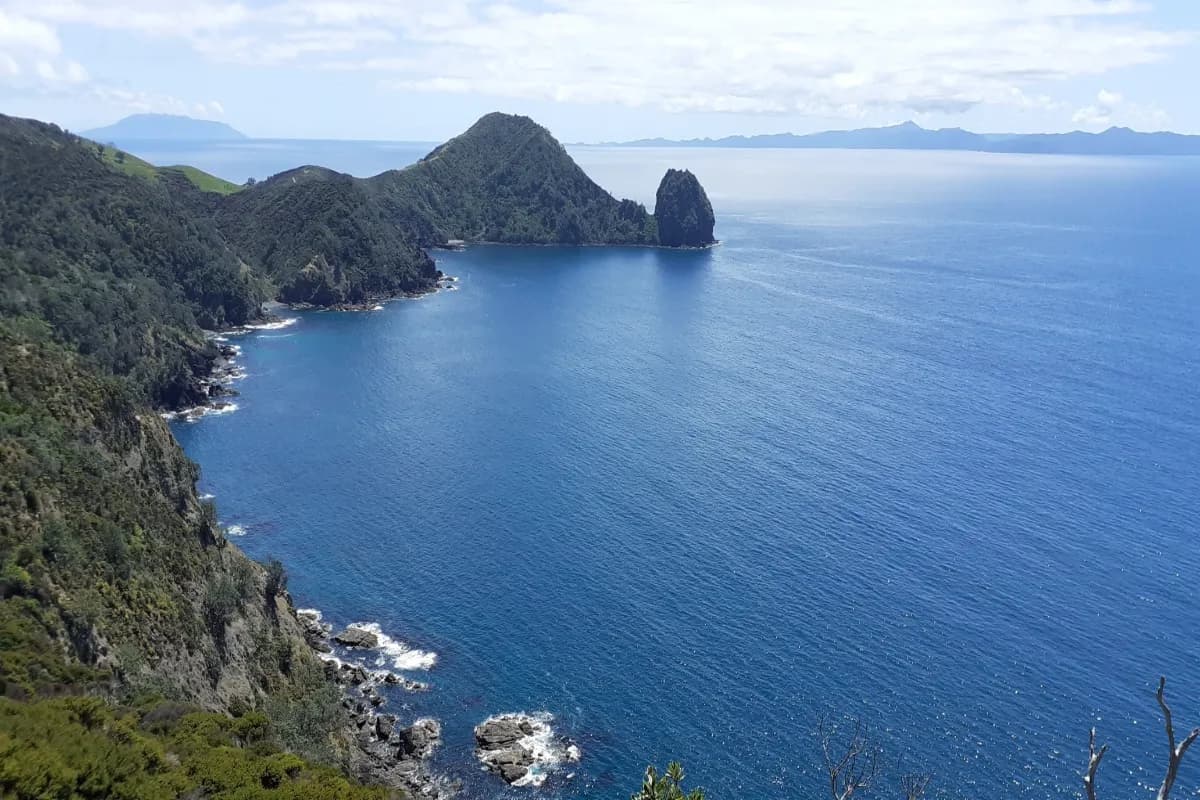 Coromandel Coast