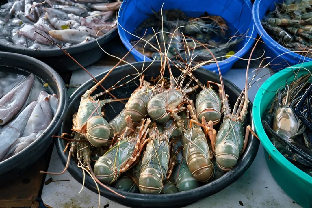 Fishing Village Nearby
