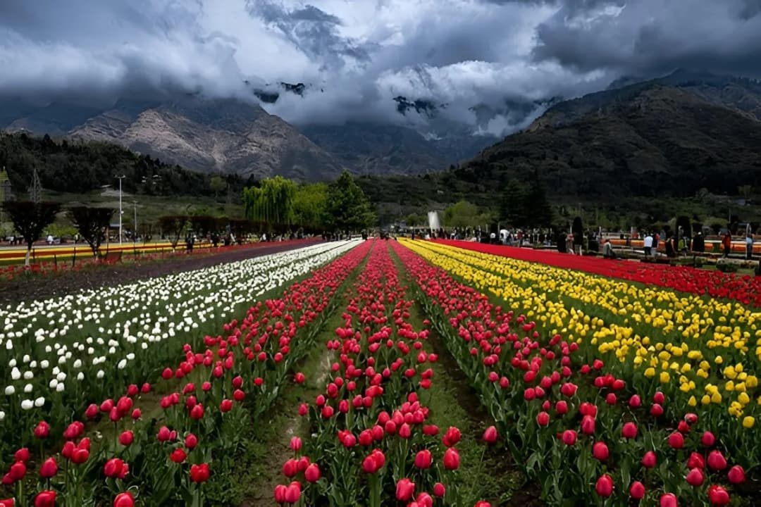 Peaceful walkways for visitors