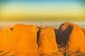 kata tjuta