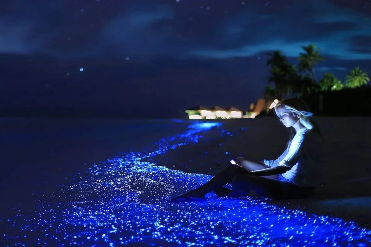 Sea of Stars