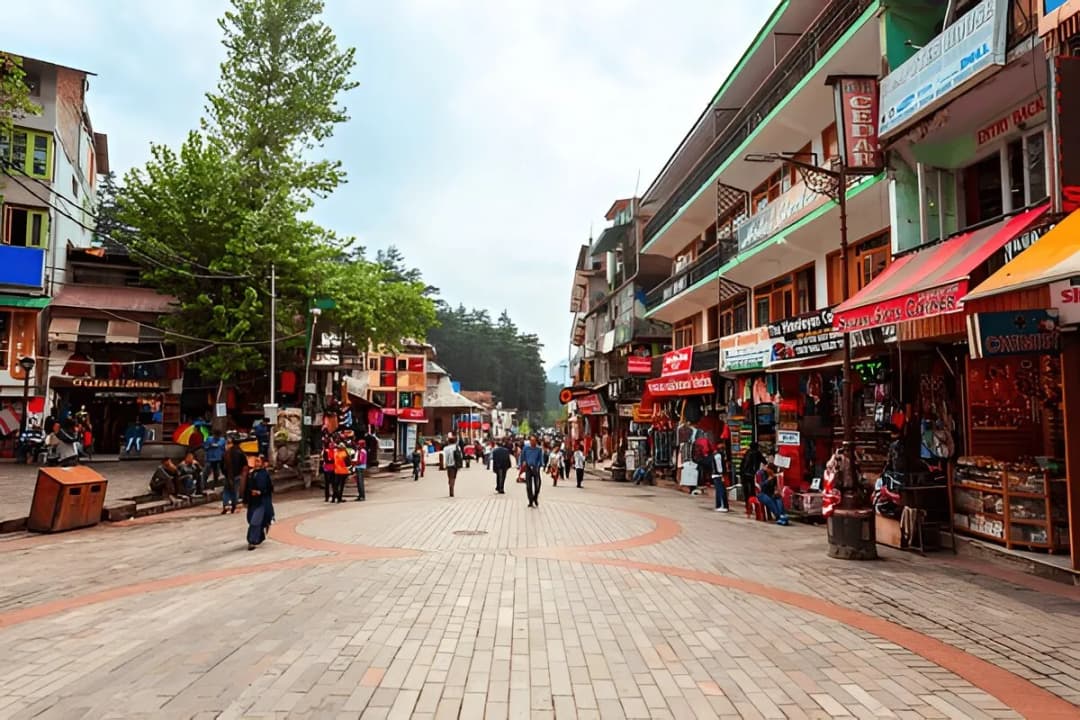 Local food at Manali Mall Road