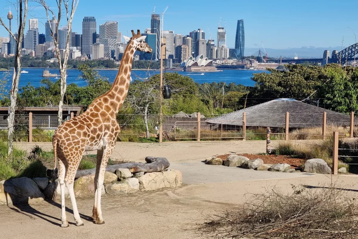 Taronga Zoo