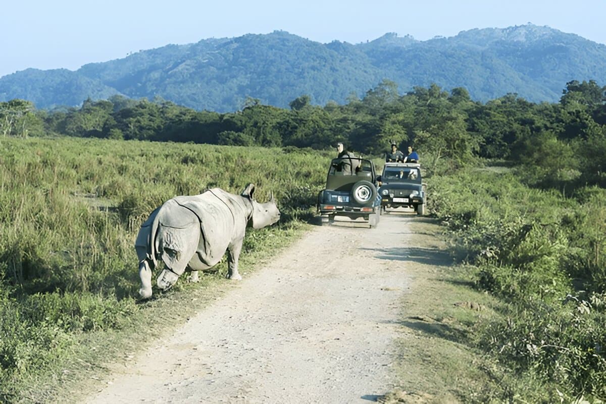 Kaziranga National Park