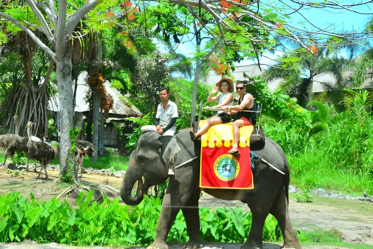 Jungle Safari in Bali