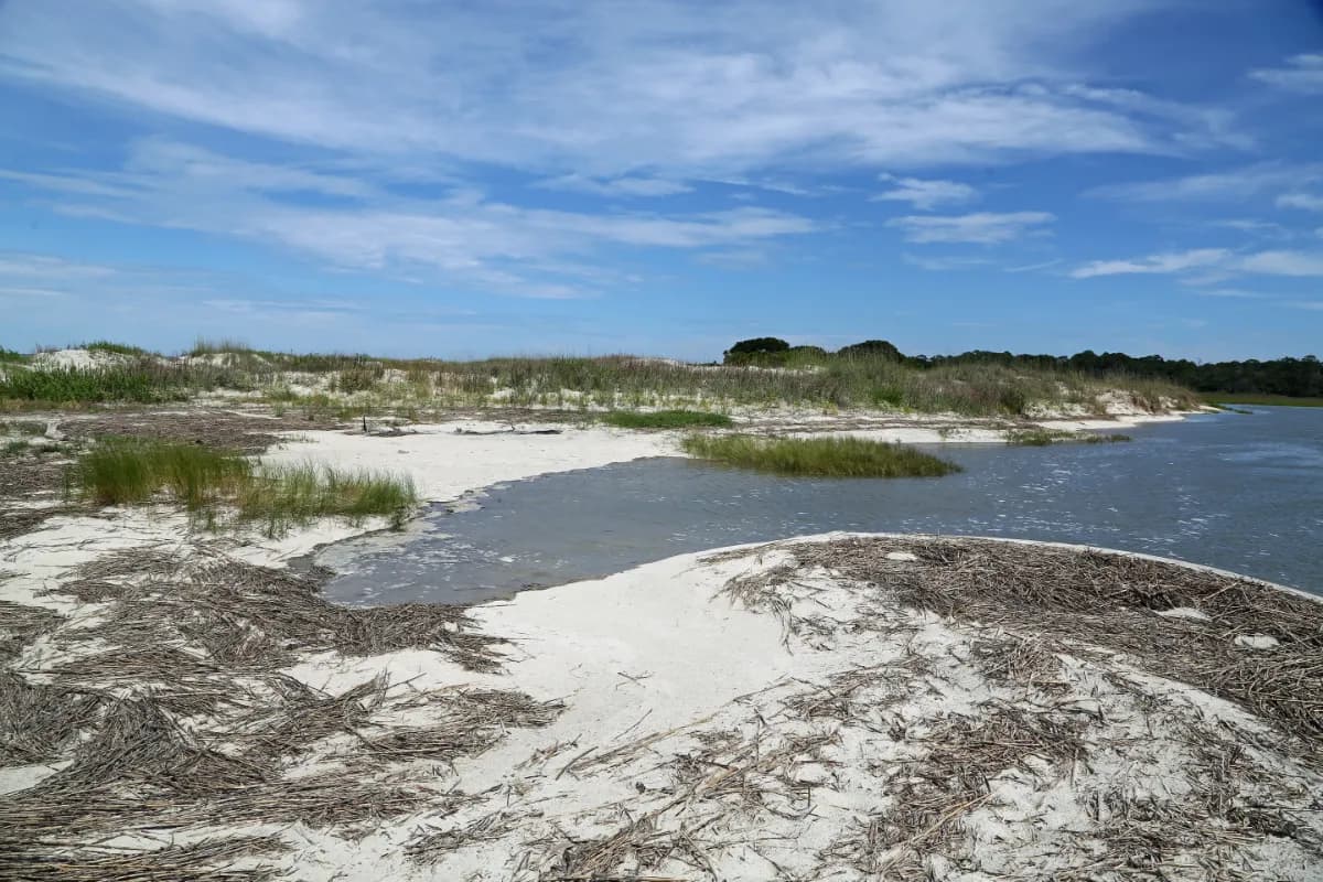 Wassaw Island