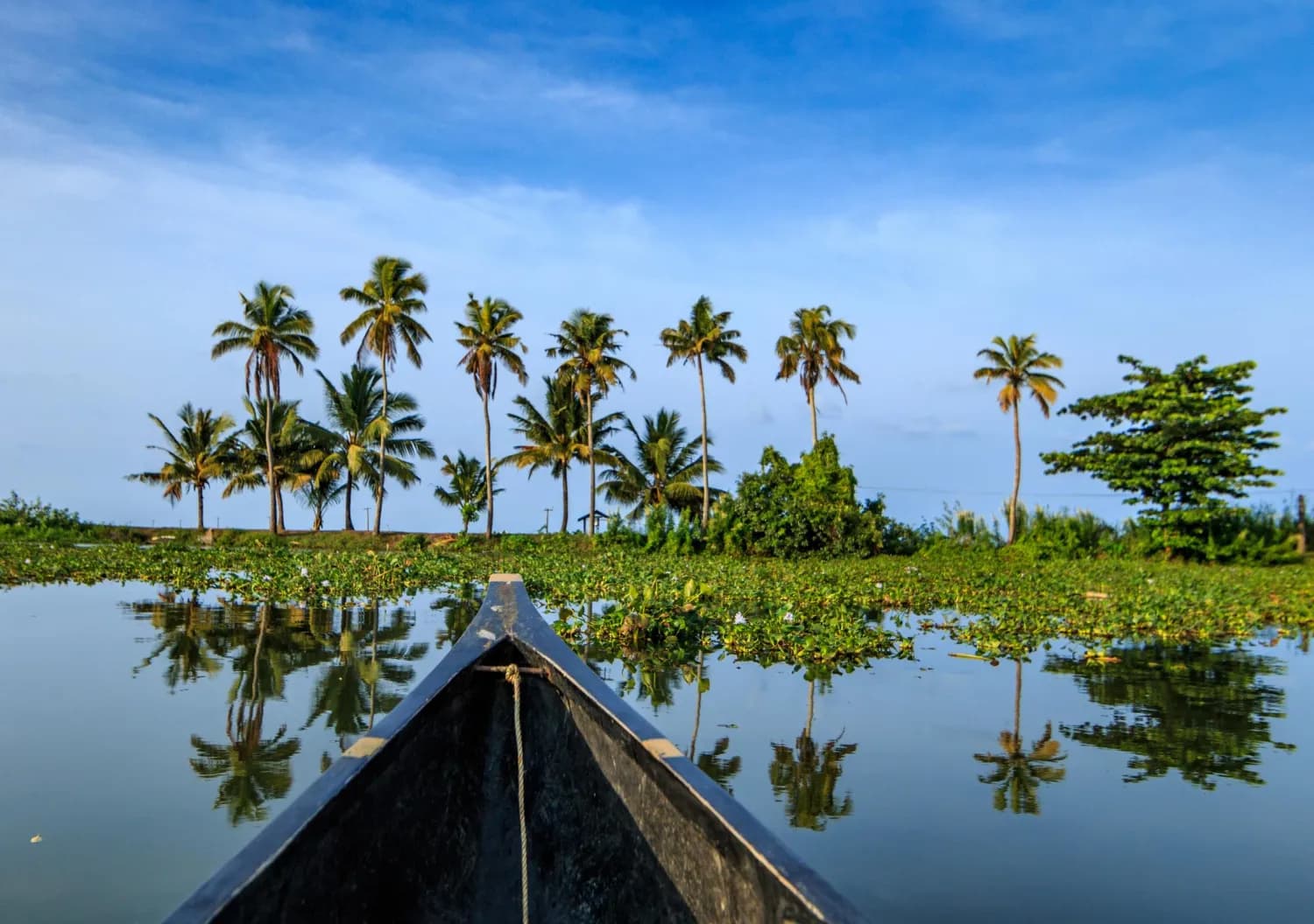 Kerala Dream Holiday