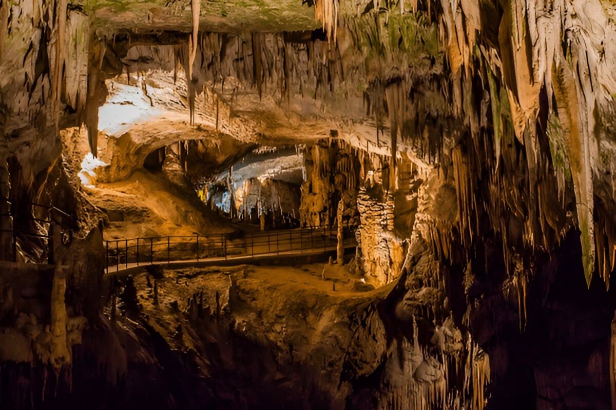 Postojna Cave