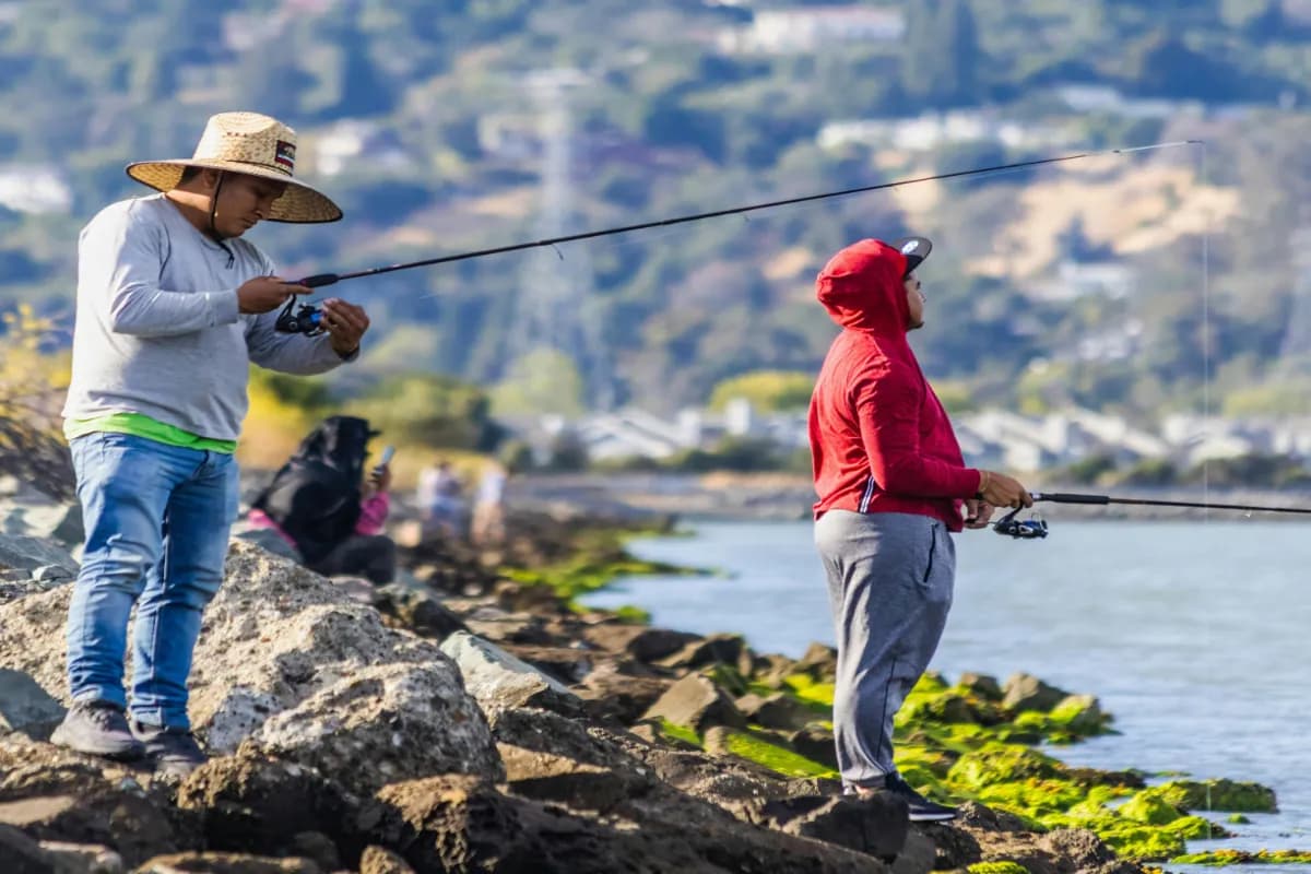 Angling and Fishing